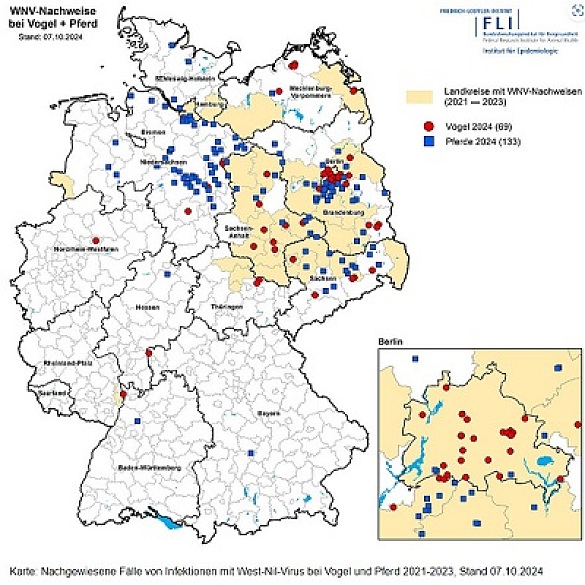 Karte zeigt Nachgewiesende Fälle von Infektionen mit West-Ni-Virus bei Vogel und Pferd 